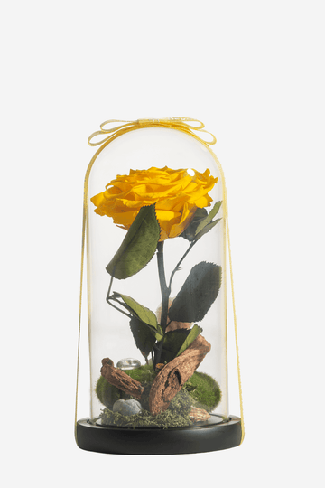 A stem of yellow preserved Ecuadorian Rose encased in a glass dome with yellow ribbon