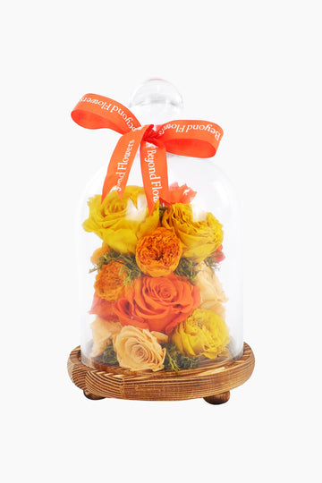 Premium Dome Arrrangement