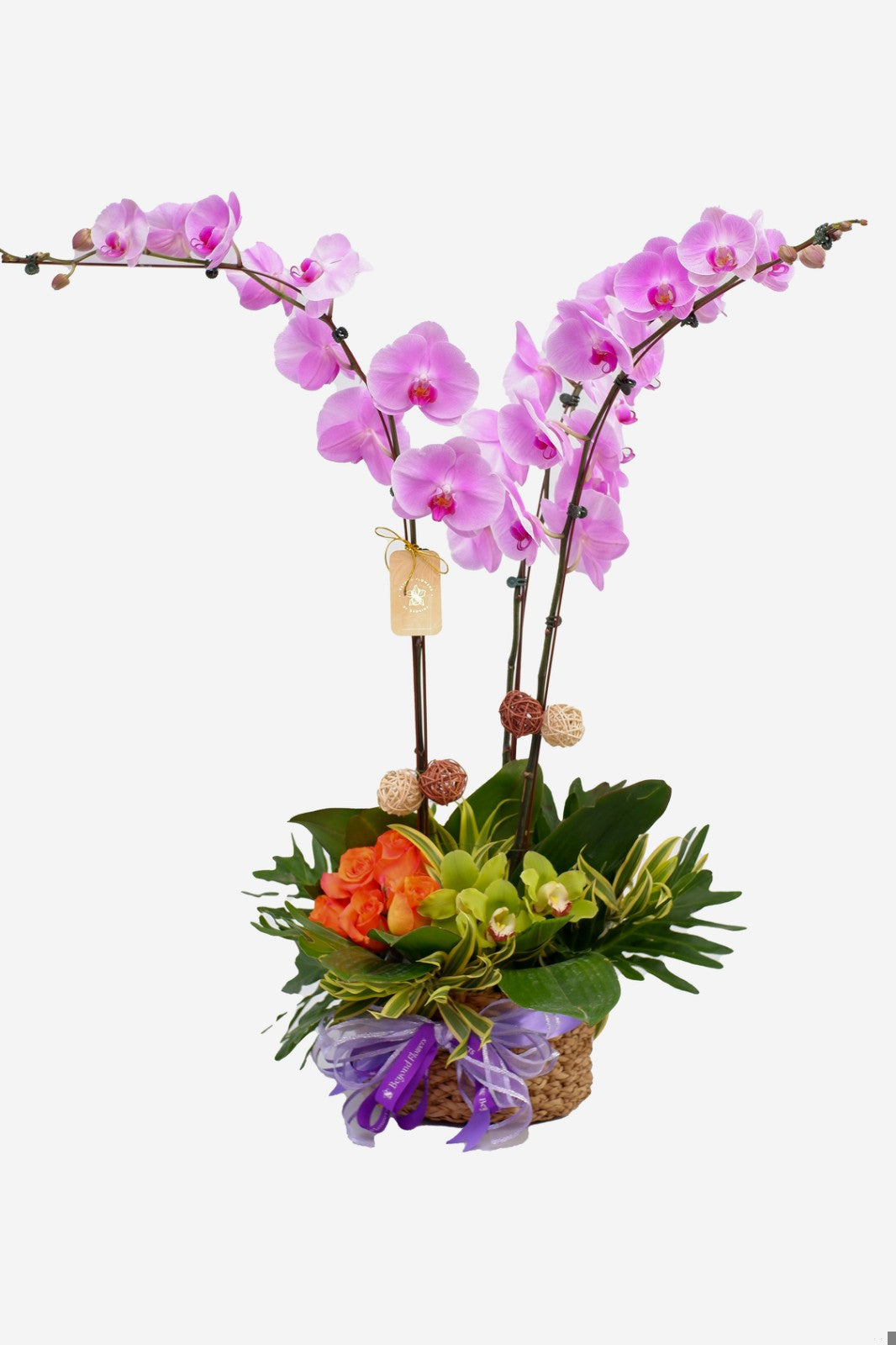 Denise Phalaenopsis Orchid Arrangement