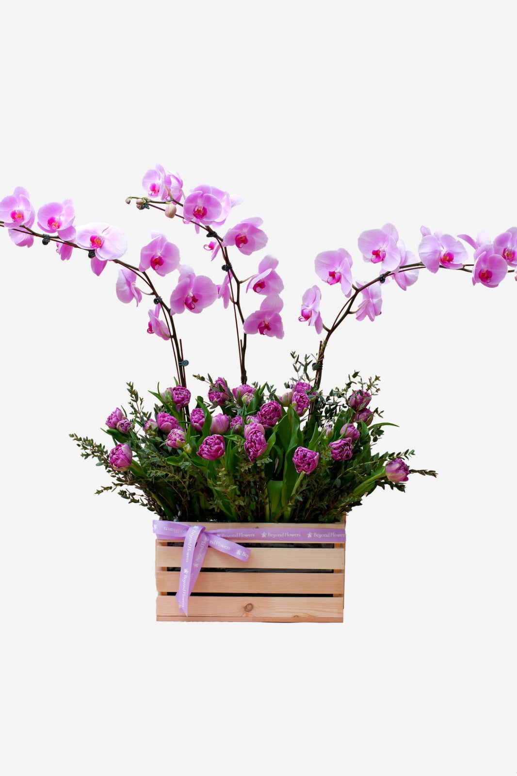 Caroline Phalaenopsis Orchid Arrangement